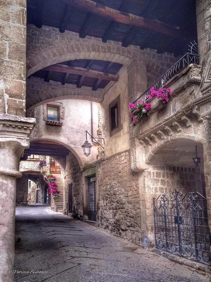 Il Gioieliino - Terme- Centro Storico Viterbo Lejlighed Eksteriør billede